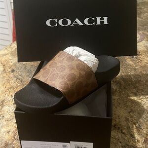 Coach Brown and Black Logo Slide Sandal